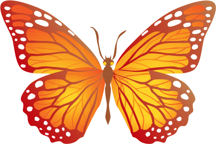 a butterfly with orange wings