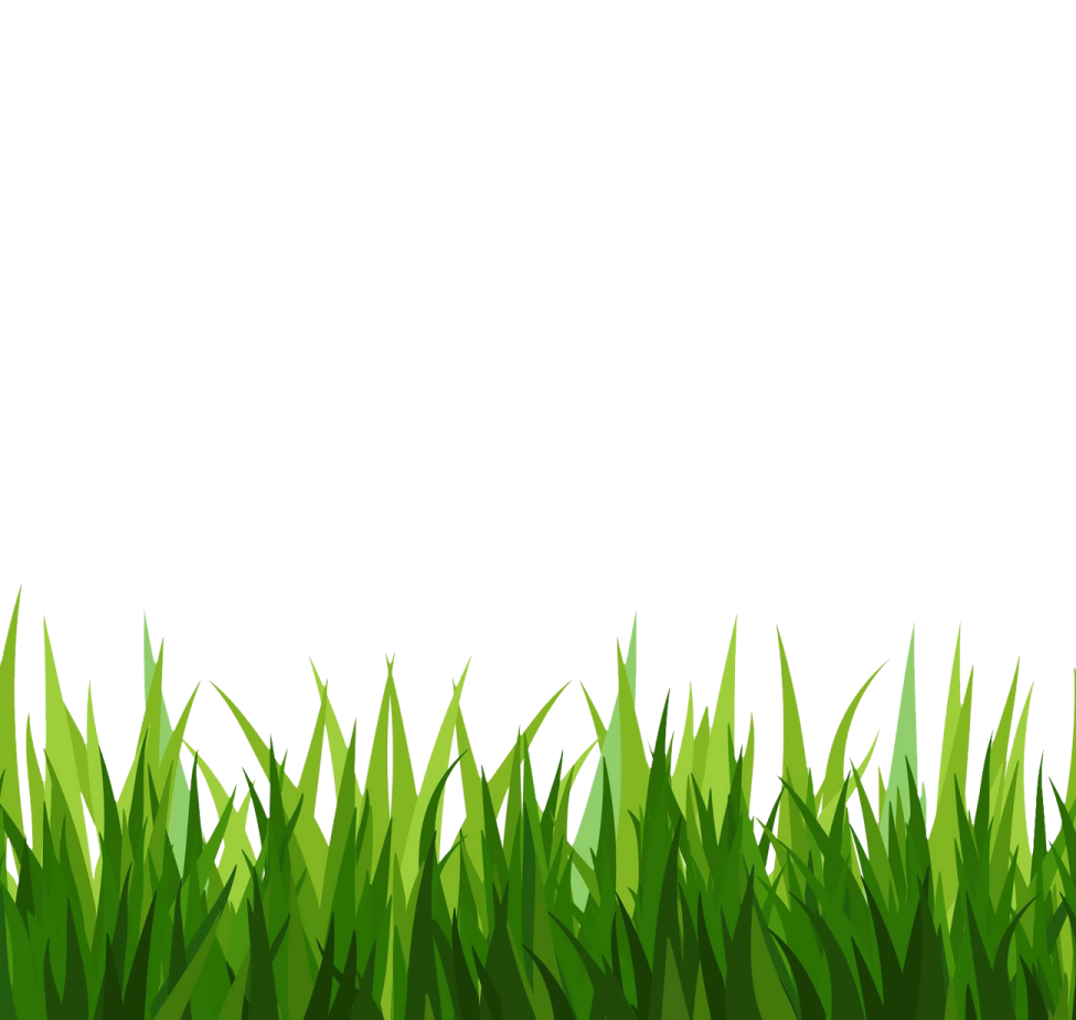 a green grass border with white background