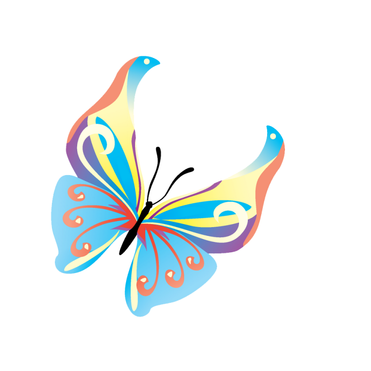 a colorful butterfly on a white background