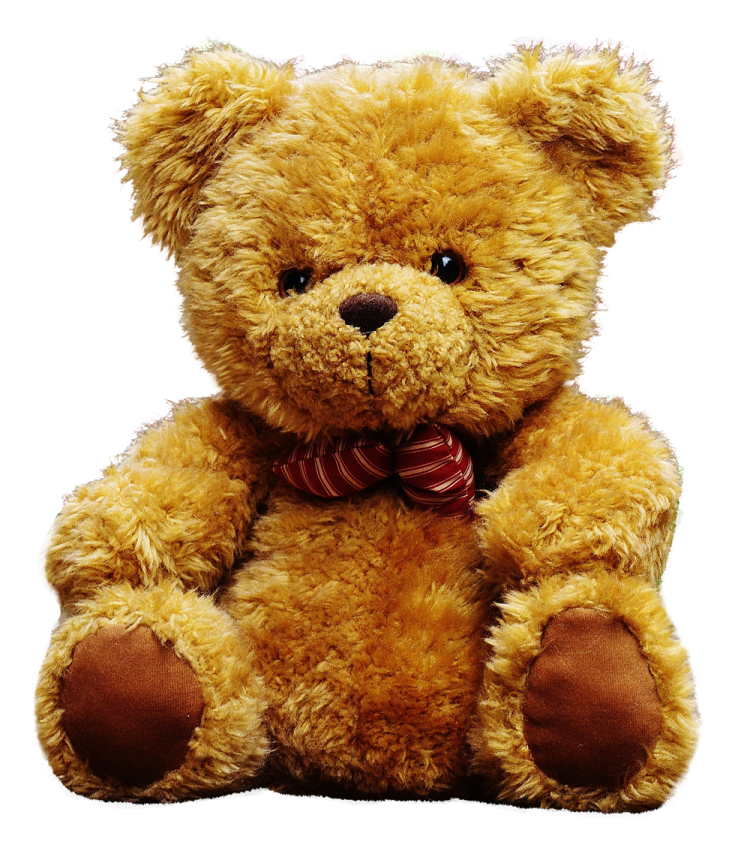 a brown teddy bear sitting on a white background