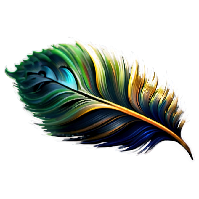 a feather on a white background