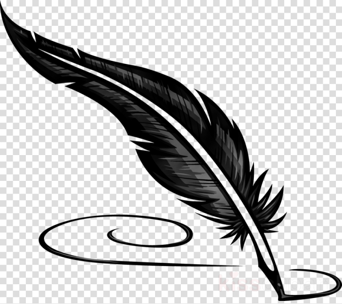a black and white feather quil on a transparent background