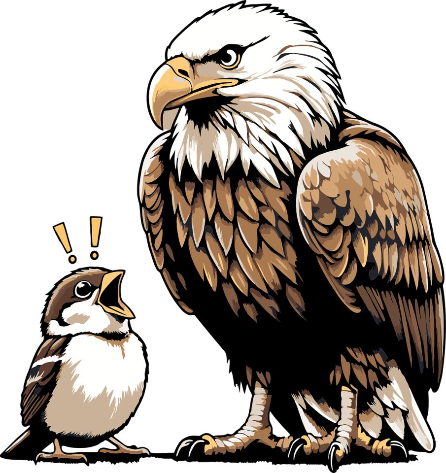 an eagle and a chick