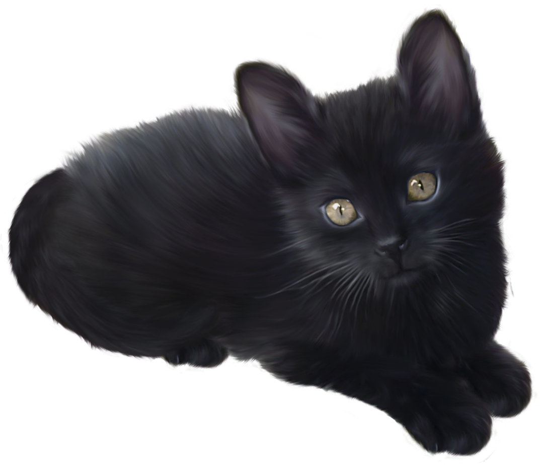 a black cat with yellow eyes laying down