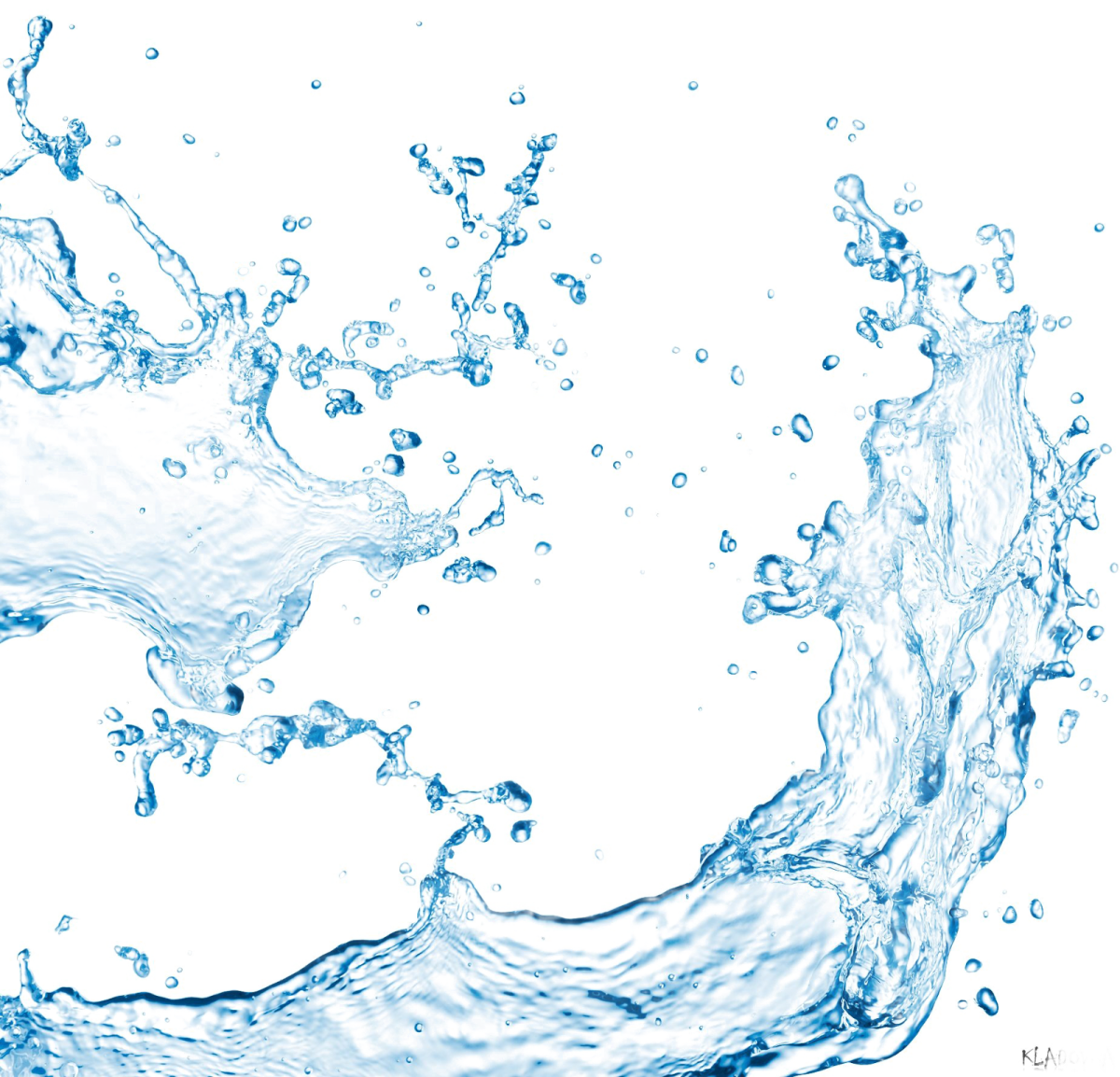 water splash on white background