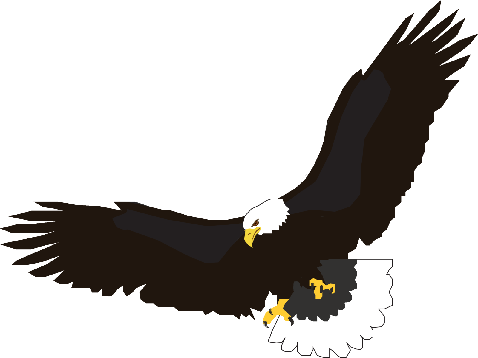 an eagle flying with its wings spread