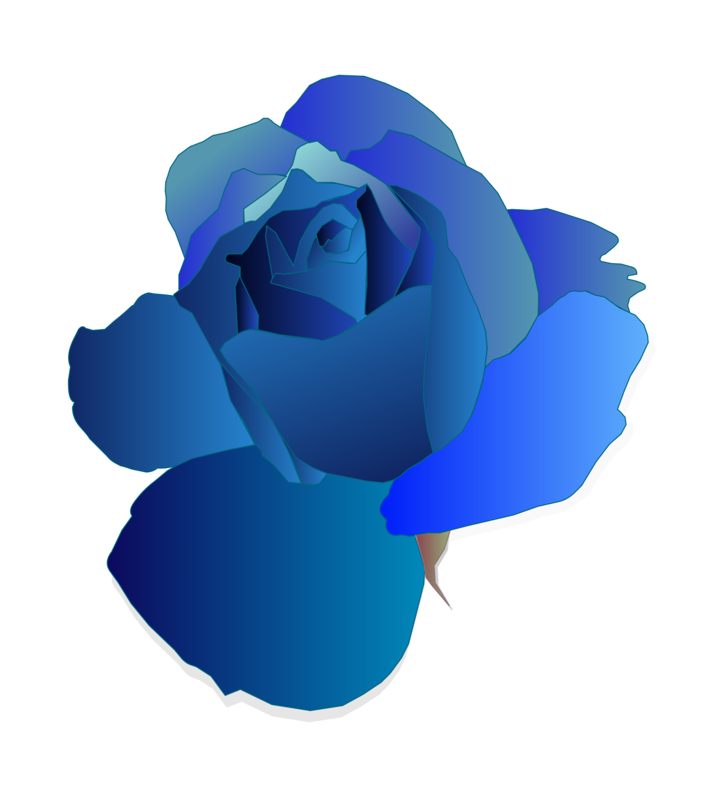 a blue rose on a white background