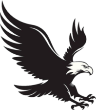 an eagle flying with its wings spread out