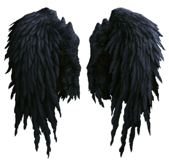 two black wings on a white background