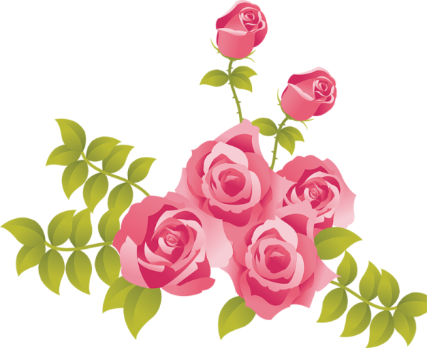 a bunch of pink roses with green leaves