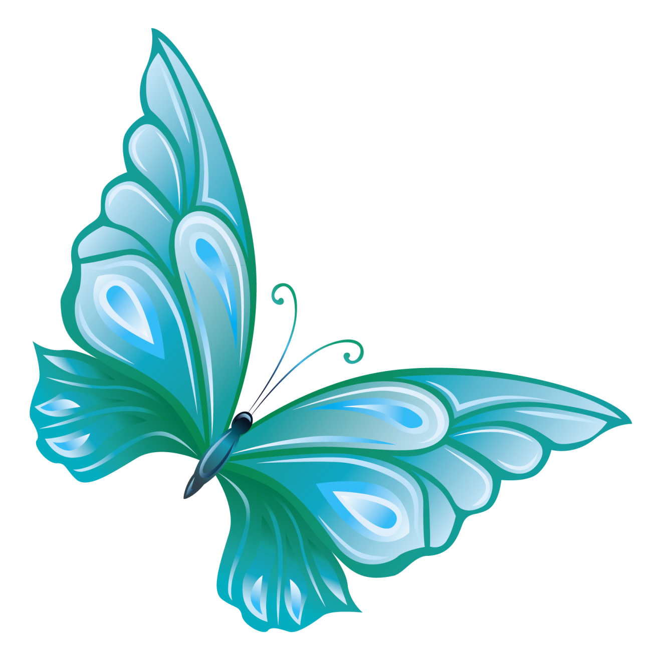 a blue butterfly on white background