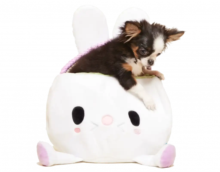 a small dog sitting on top of a stuffed animal
