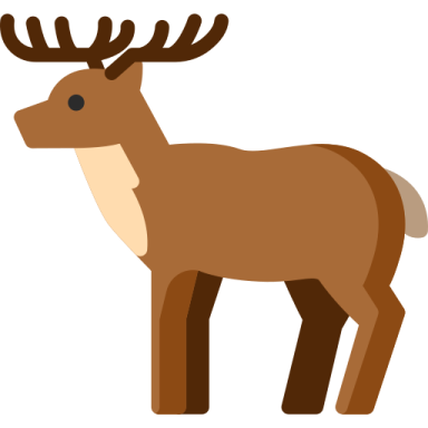 a brown deer standing on a white background