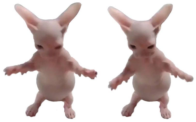 two small white rabbits standing next to each other ones