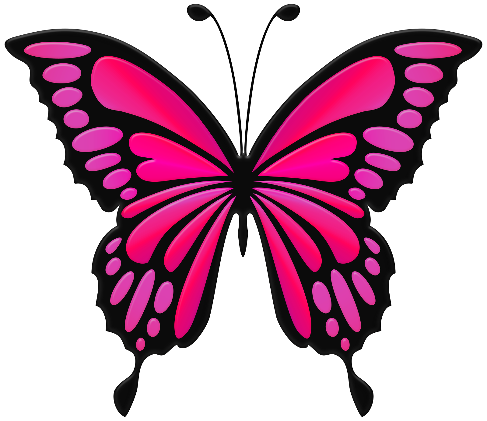 a pink butterfly on a white background