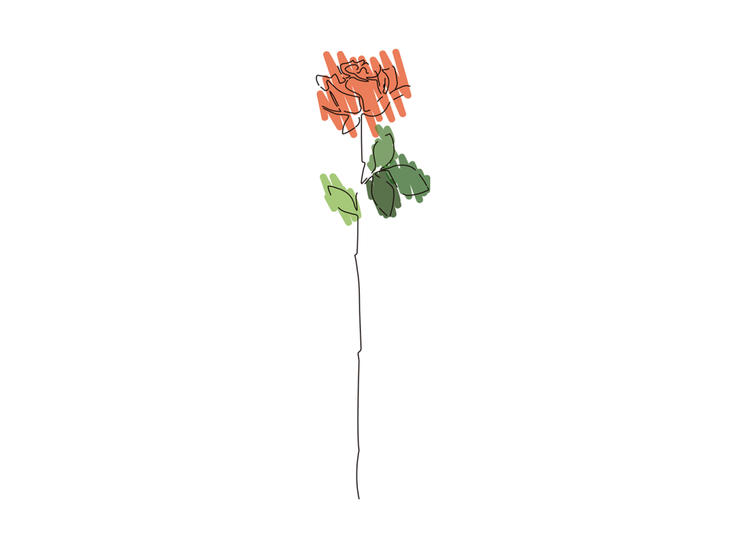 a drawing of a flower on a white background