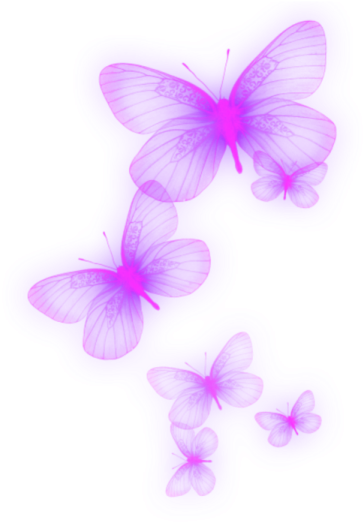 three pink butterflies on a white background