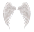 two white wings on a white background