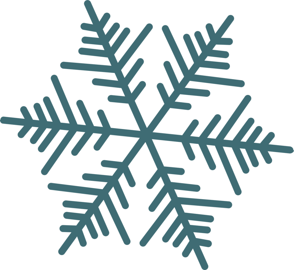 a snowflorer icon