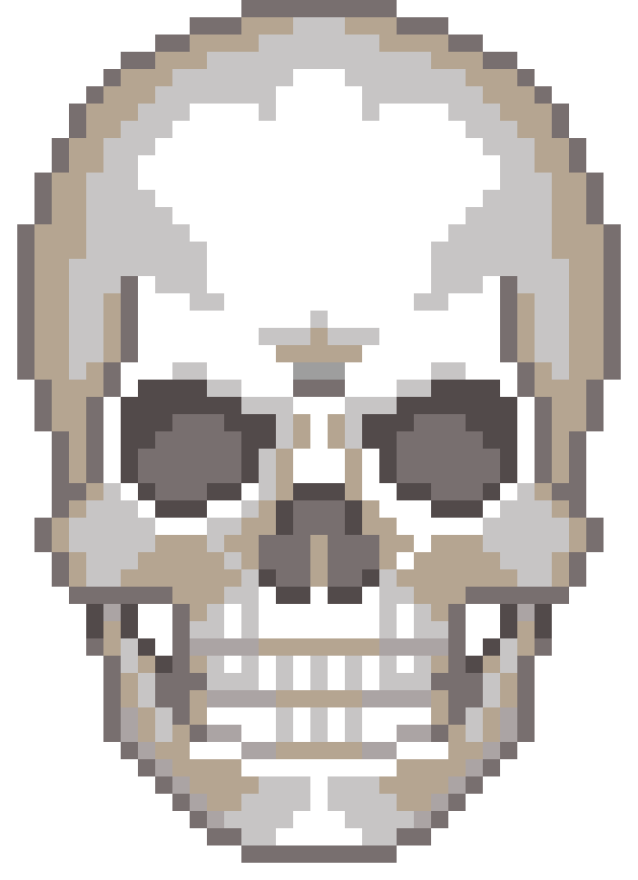 an image of a skull in pixel style