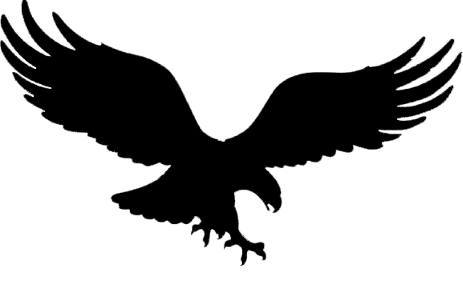 an eagle silhouetted on a white background