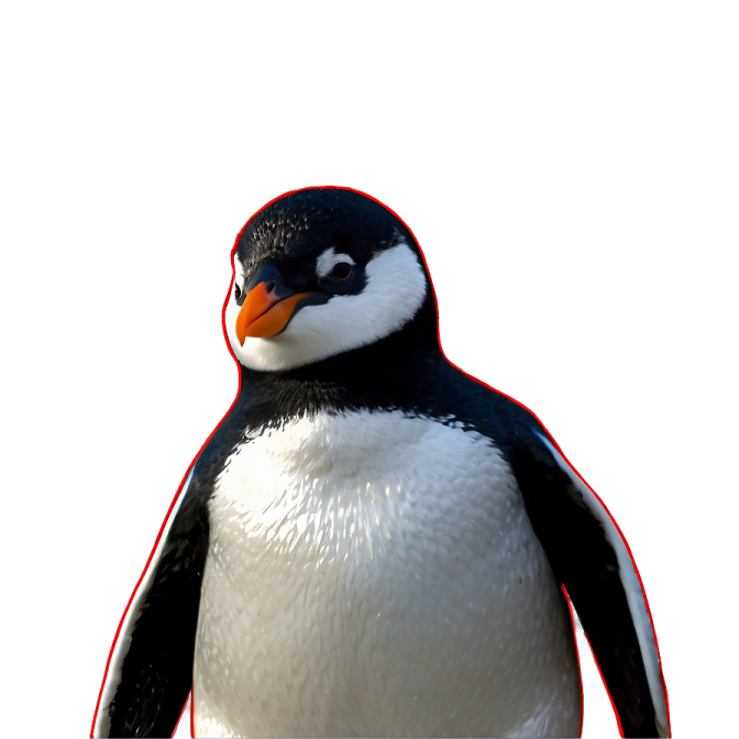 a close up of a penguin on a white background