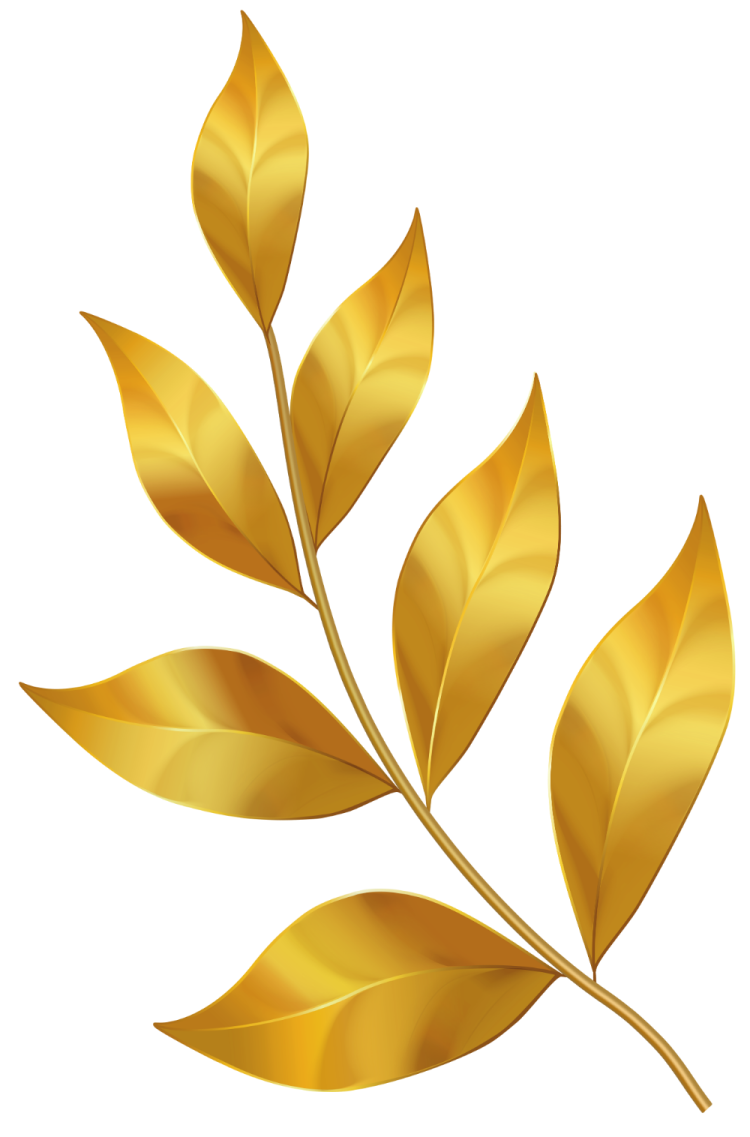 golden leaves on white background