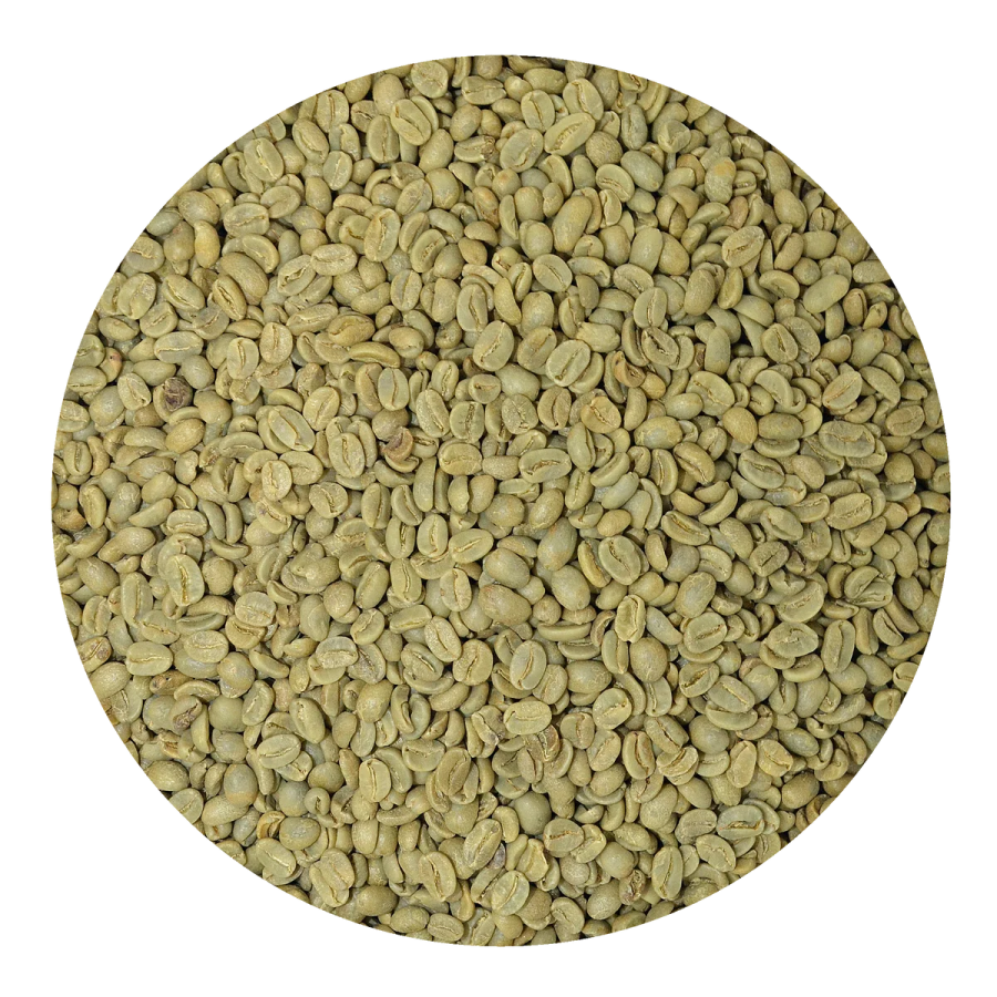 a pile of green coffee beans