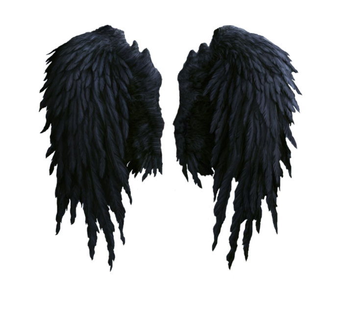 two black wings on a white background