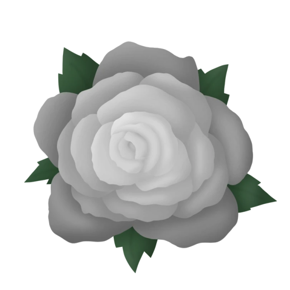 a white rose with green leaves on it