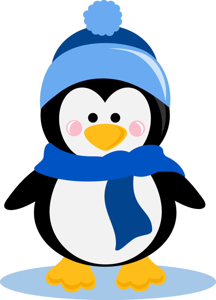 a penguin wearing a blue hat and scarf