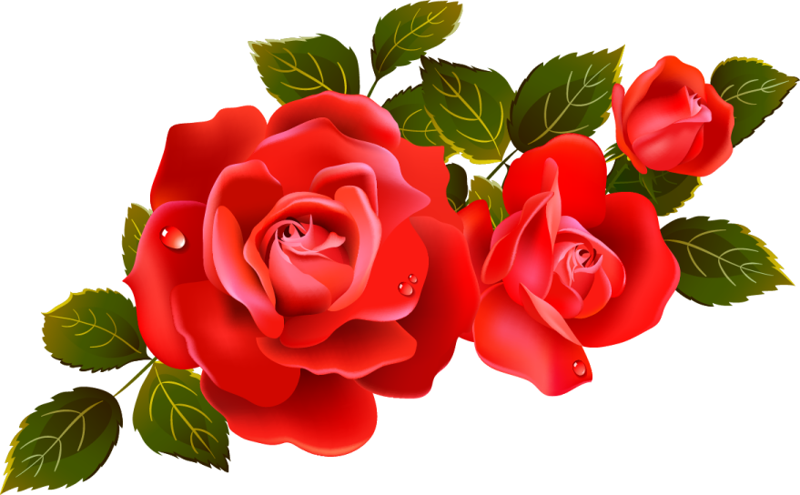 a bunch of red roses with green leaves