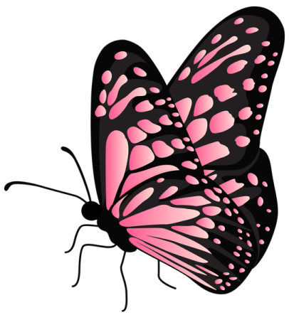 a pink butterfly on a white background