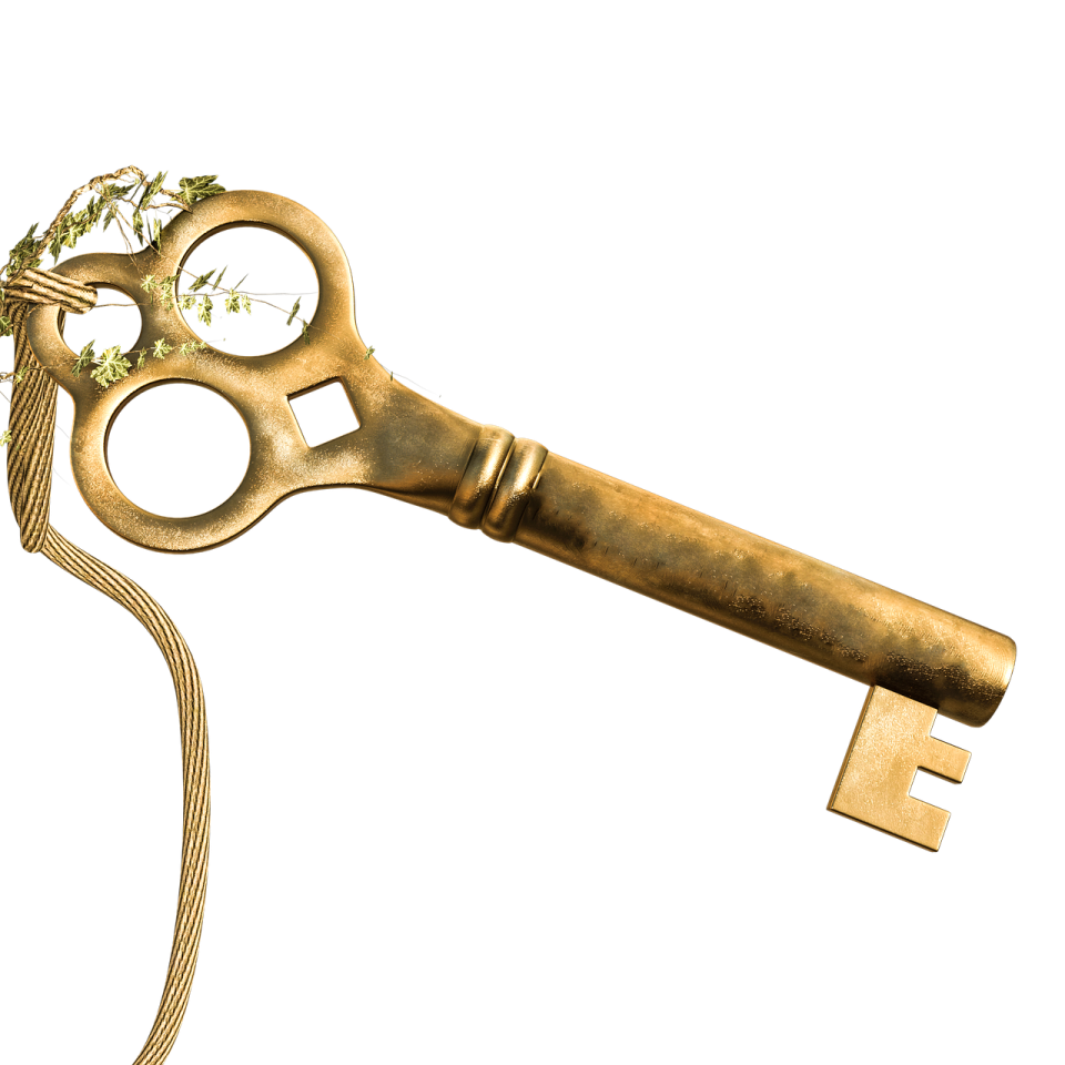 an old key with a plant growing out of it