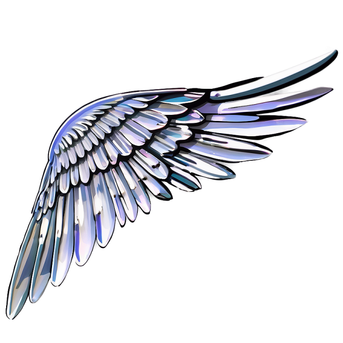 a black and white wing on a white background