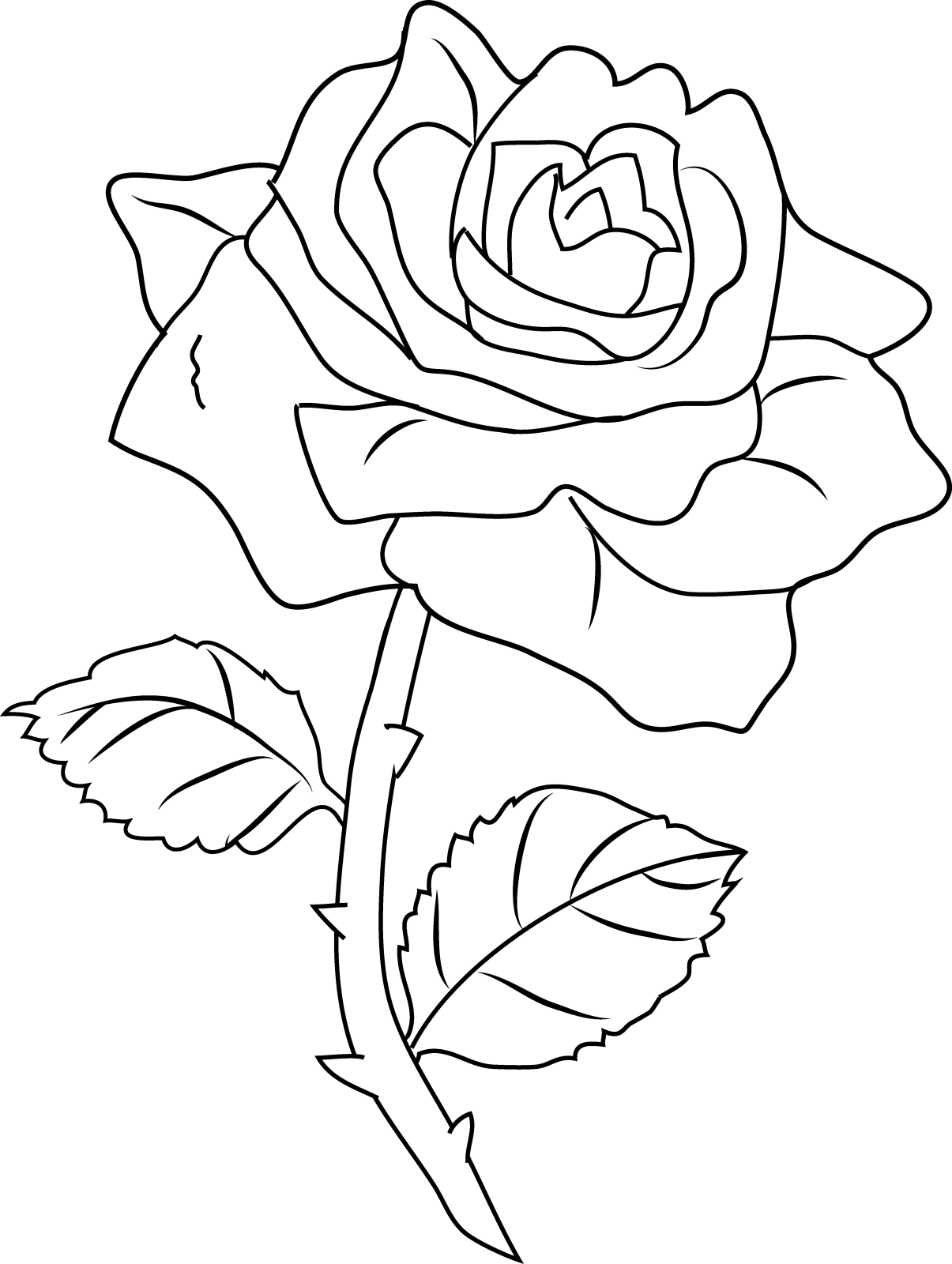 free printable rose coloring pages