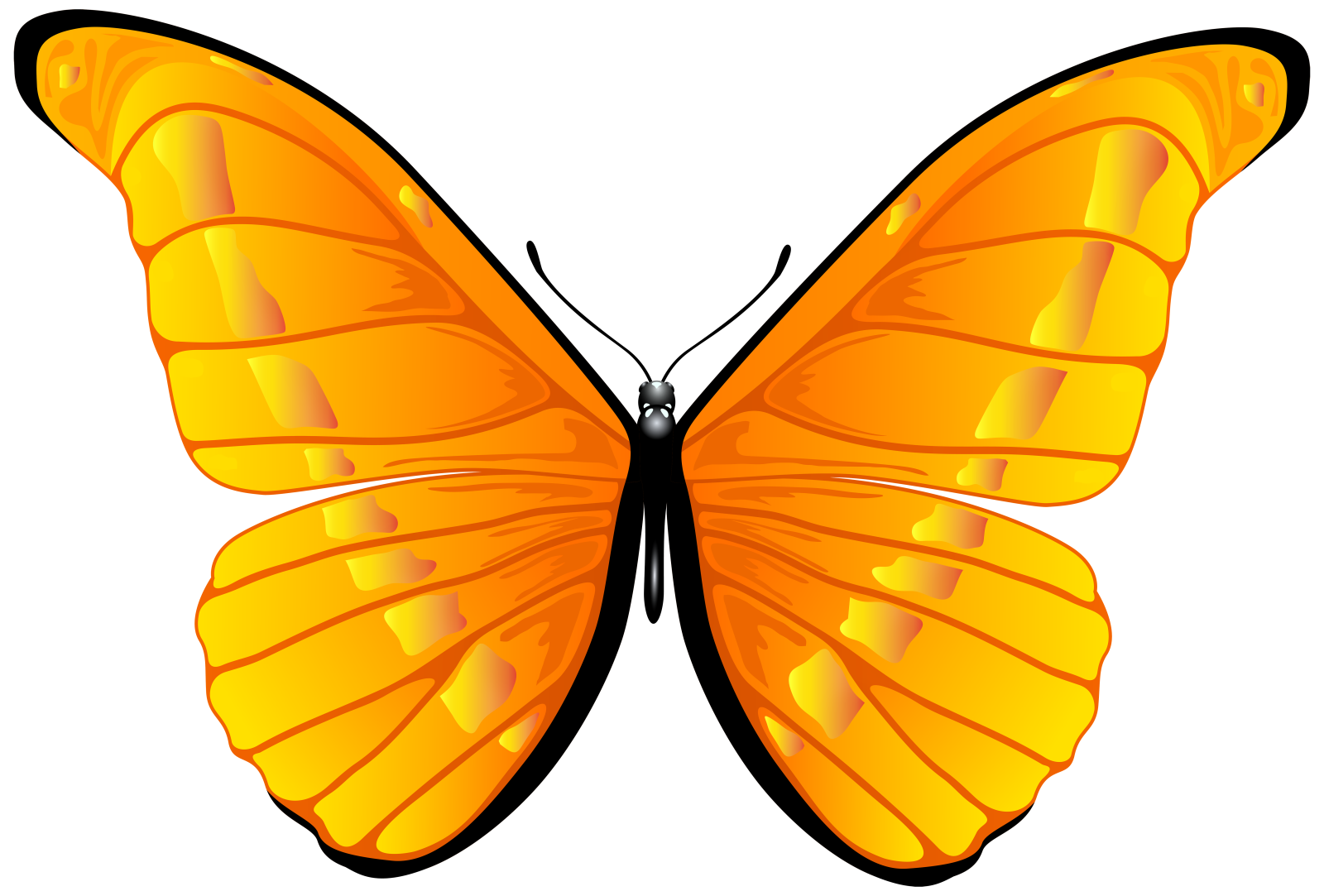 a yellow butterfly on white background