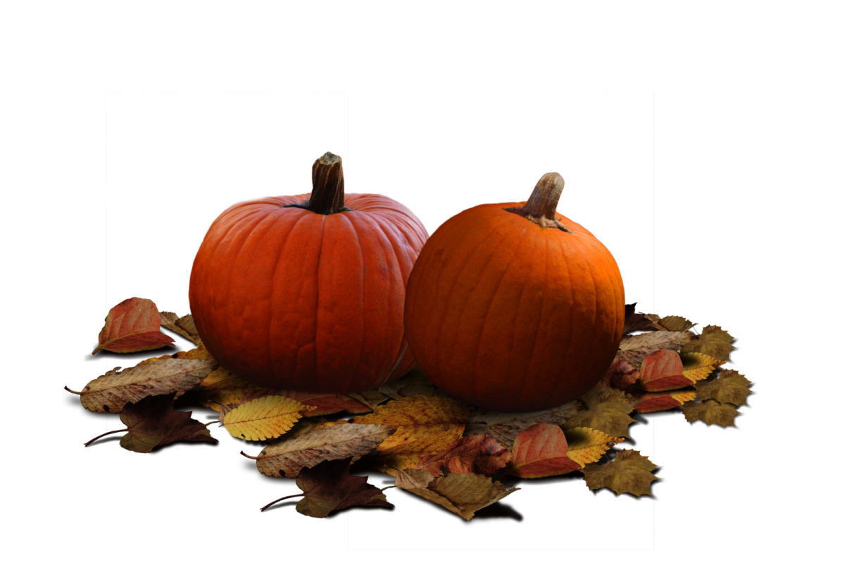 two pumpkins sitting on a pile of leaves