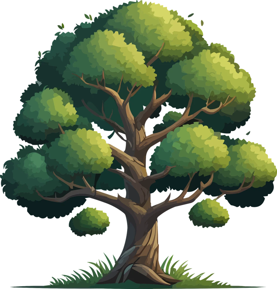 a tree on a white background