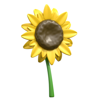 a yellow sunflower on a white background