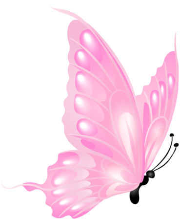 a pink butterfly on white background