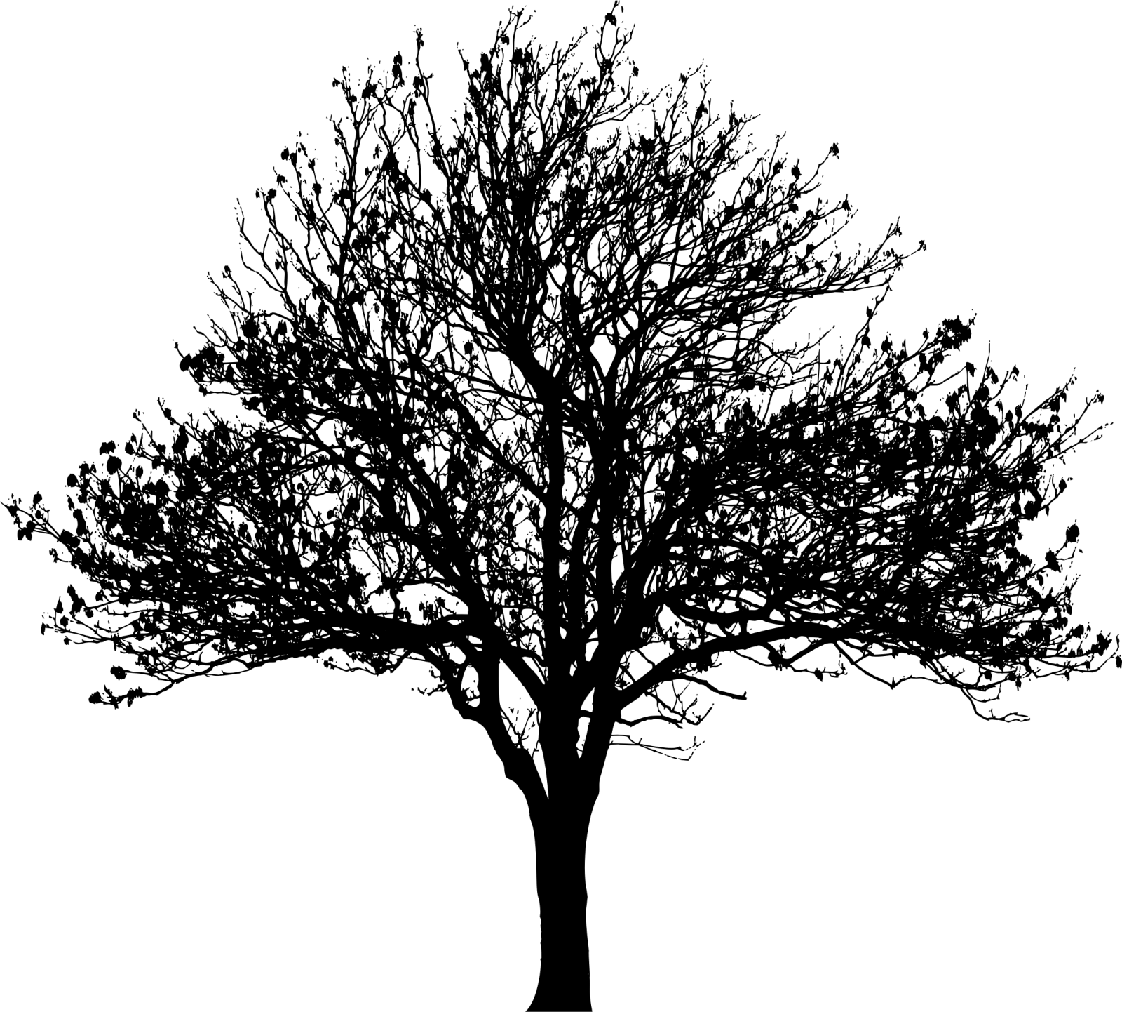 a black and white silhouette of a tree