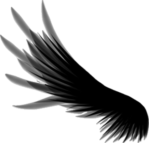 a black and white drawing of an angel wing