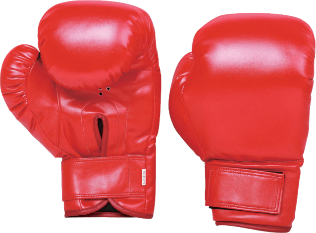 a pair of boxing gloves