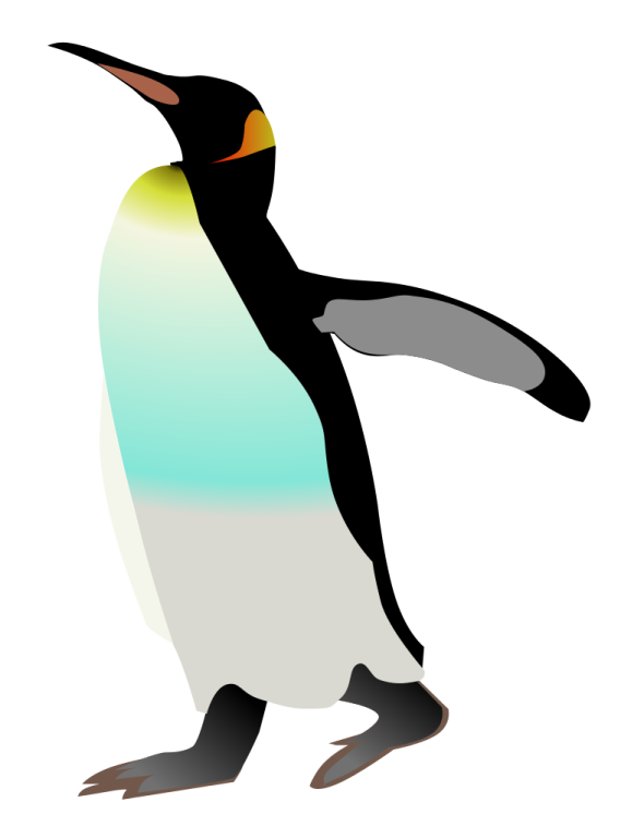 an image of a penguin on a white background