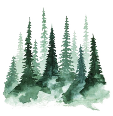 a watercolor painting of trees in the woods