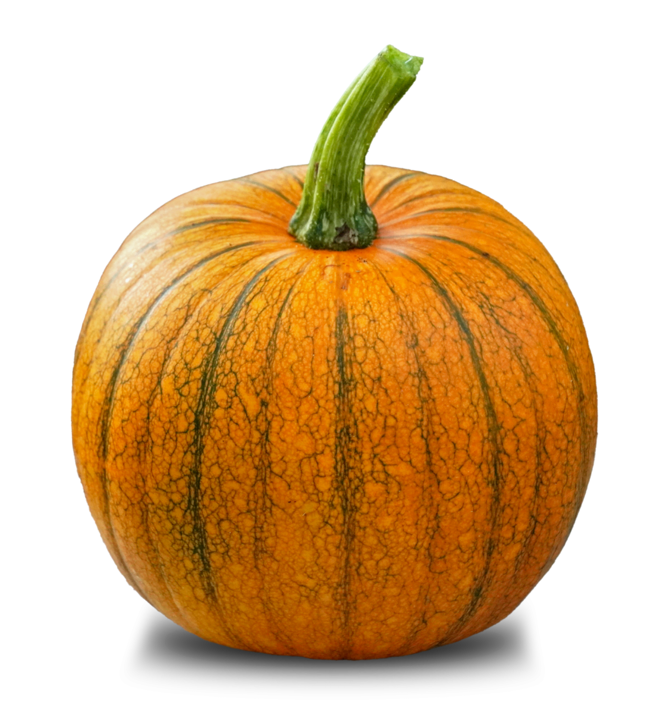 an orange pumpkin on a white background