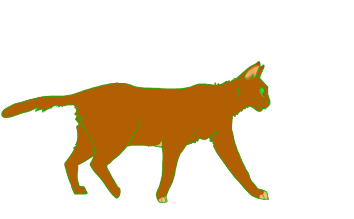 a drawing of a cat on a white background