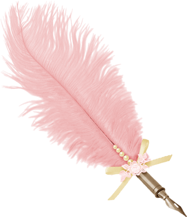 a pink feather on a white background