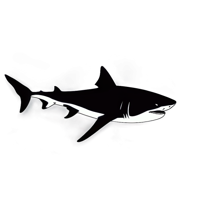 a black and white image of a shark